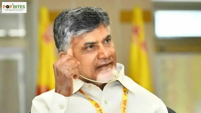chandrababu says amaravati growth will answer critics