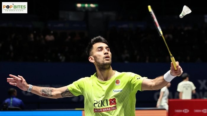 fan takes stunning catch outside boundary during tapeball match