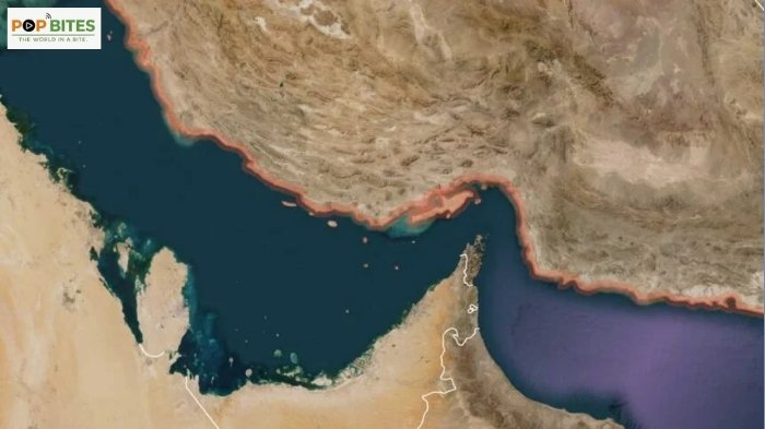 imo ceo responds to international shipping crisis amid global supply chain challenges