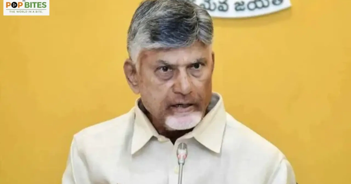 municipal mergers to begin after local body elections cm chandrababu