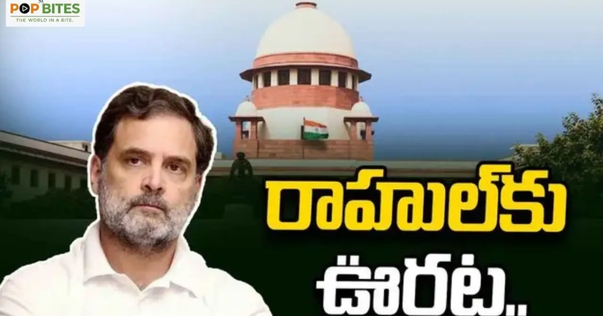 relief for rahul gandhi as supreme court halts allahabad hc proceedings in assets case