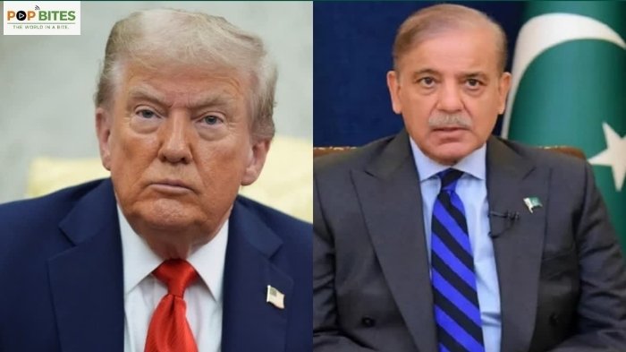 shehbaz sharif urges trump to extend iran deadline by two weeks