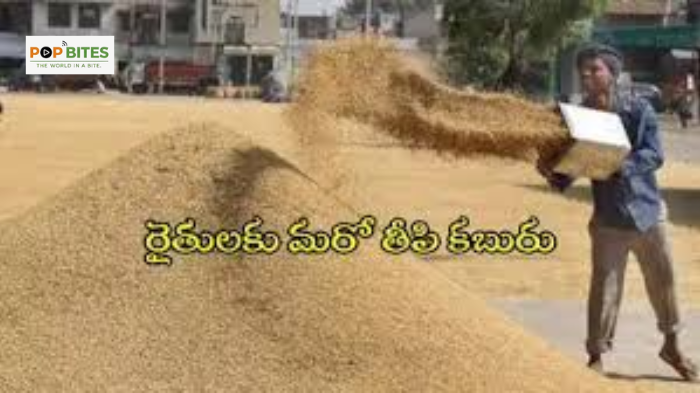 telangana government makes key decision on rabi paddy procurement