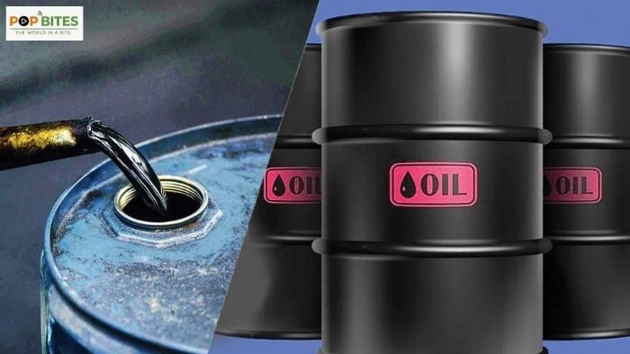 imo ceo responds to international shipping crisis amid global supply chain challenges