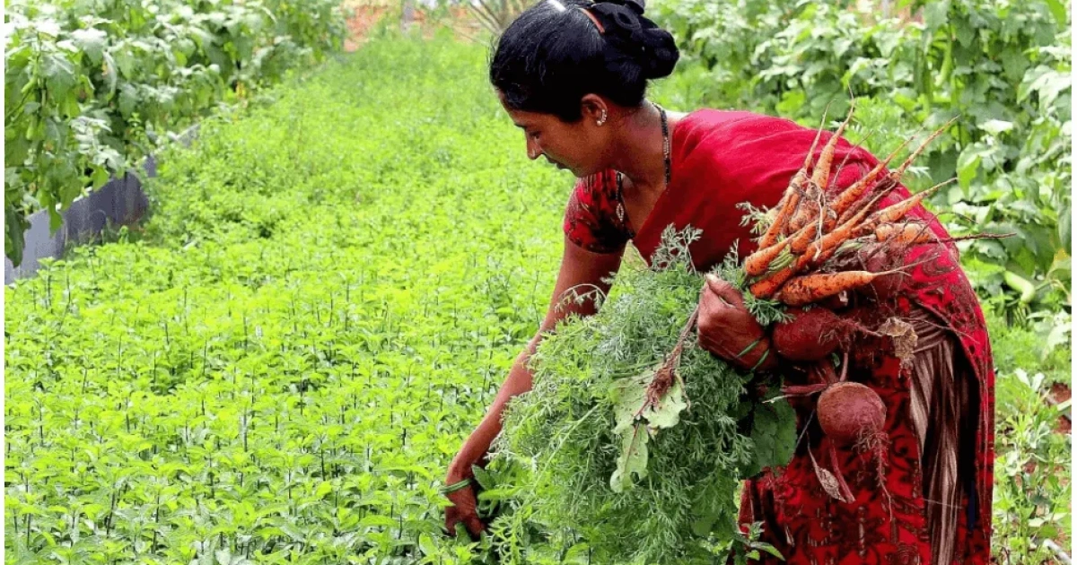good news for farmers revathi sarkar has announced a key decision to directly deposit money into their accounts