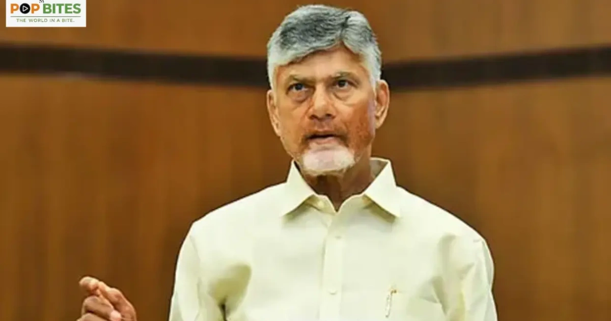 chandrababu urges tdp leaders to take local body elections seriously