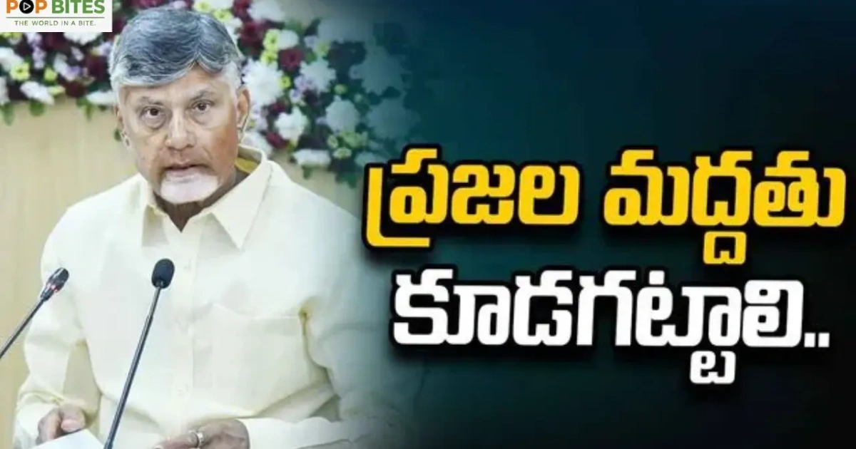 cm chandrababu calls on tdp leaders to increase support through development