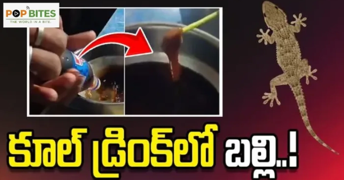 కూల్ డ్రింక్‌లో బల్లి కనిపించిన ఘటన.. వైరల్‌గా మారిన వీడియో!