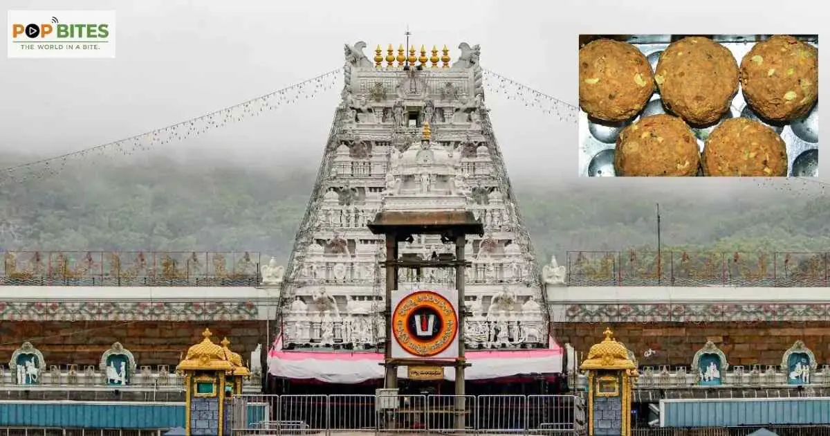 ed-conducts-raids-across-india-in-tirumala-laddu-adulteration-probe