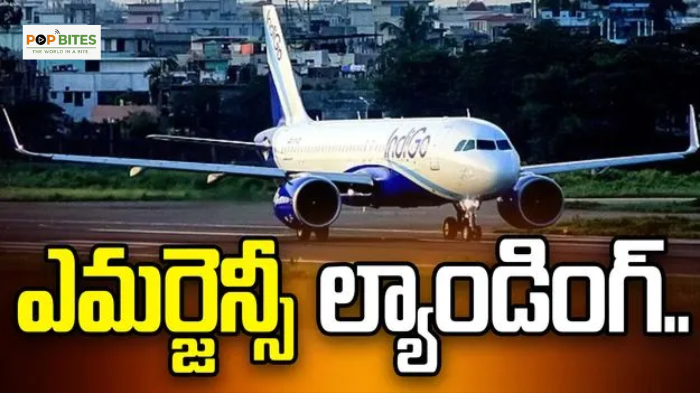 indigo flight makes emergency landing in gannavaram