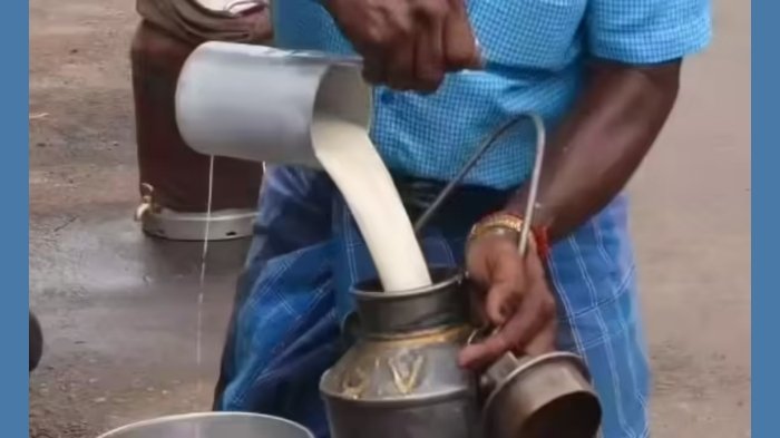 కల్తీ పాల ఘటనపై ఎన్‌హెచ్ఆర్‌సీ సుమోటో.. సీఎస్‌, డీజీపీకి నోటీసులు