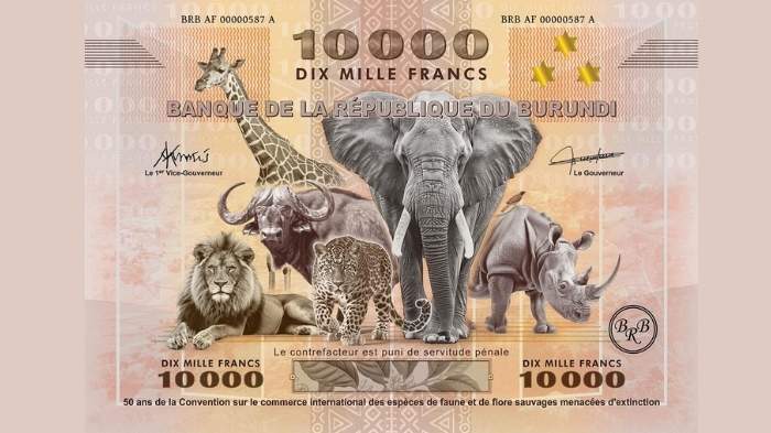 ప్రపంచంలో అతిపెద్ద నోటు & ప్రాచీన నాణేల విశేషాలు